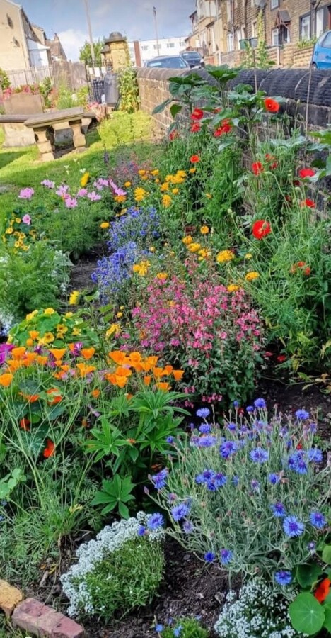 Section 2 border in full bloom